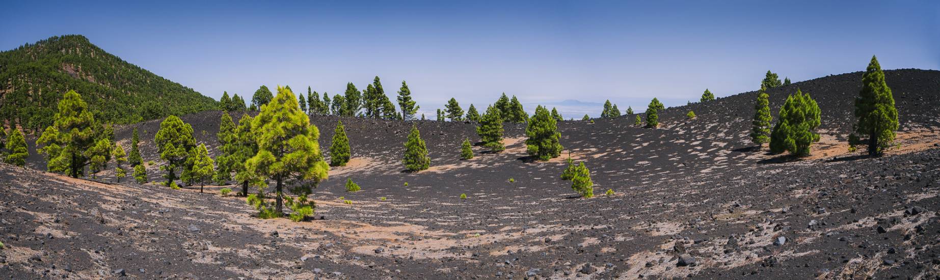 Photo - Îles Canaries - Iles Canaries #13